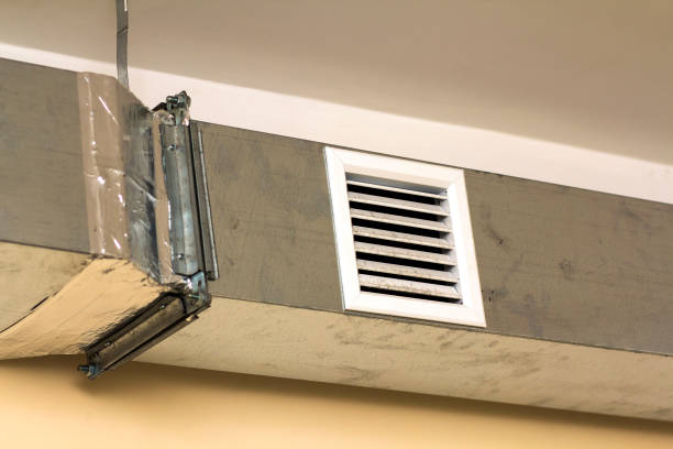 Best Air Duct Mold Removal  in Grandyle Village, NY